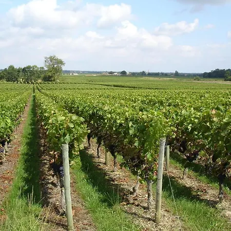 Chateau Beau Jardin 酒店 Gaillan-en-Médoc